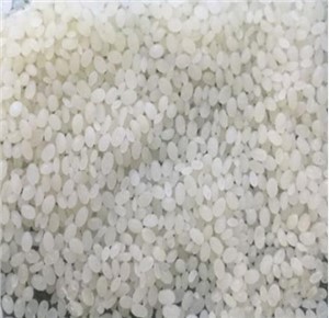Polimer Biodegradable PBS TUNHE TH803S（MFR 16-20）